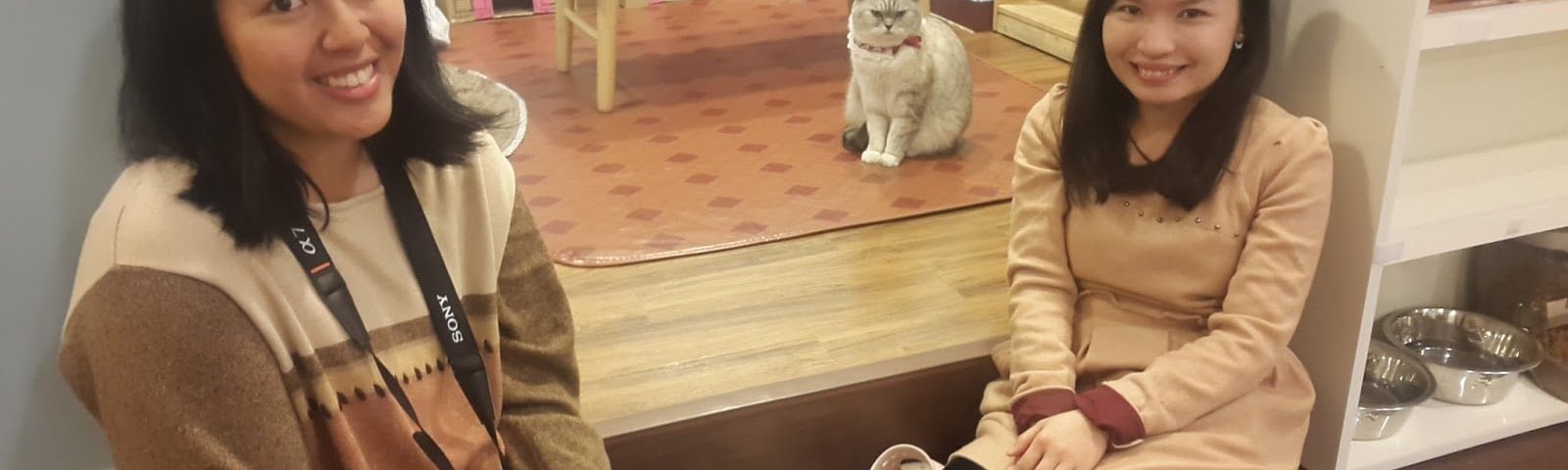 Cat Cafe