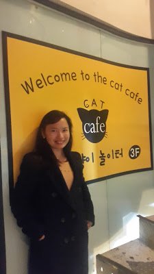 cat cafe