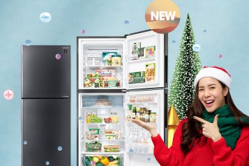 Best Refrigerator for Holiday Season