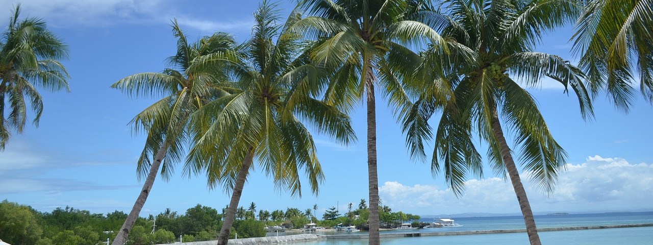 Best Time To Visit Cebu