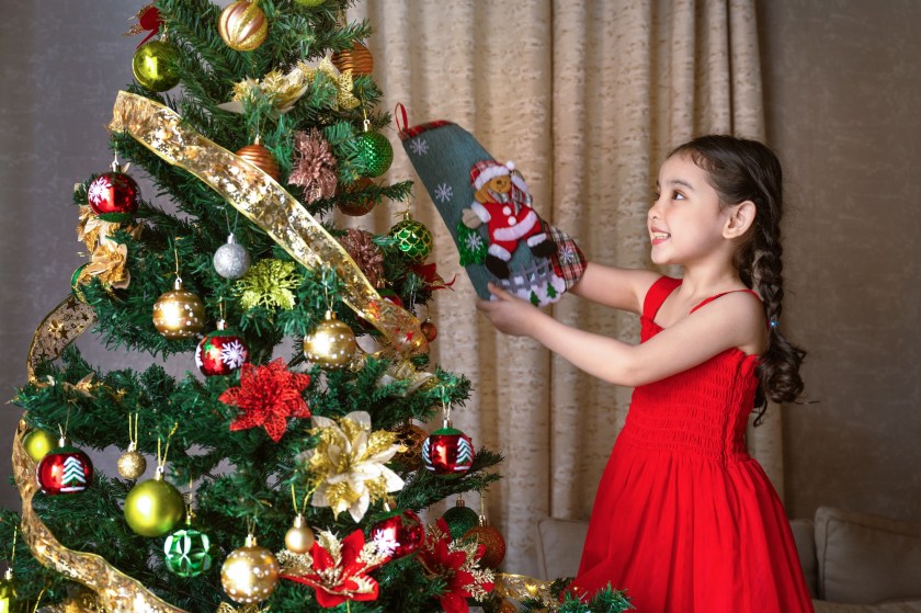 Camella Christmas Homecoming Fair 2025