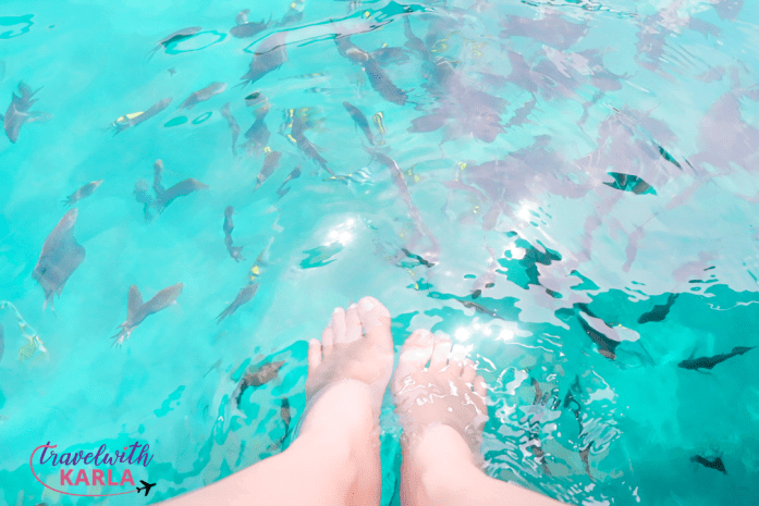 Bituin Cove Budget Itinerary